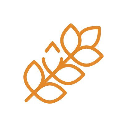 Fibre
